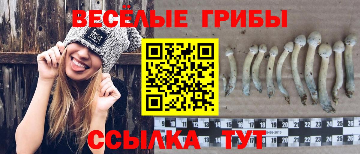 Псилоцибиновые грибы MAGIC MUSHROOMS Маркс